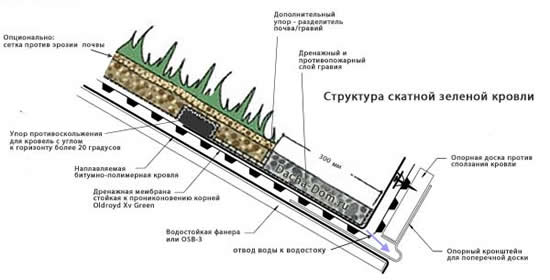 Правила озеленения крыши