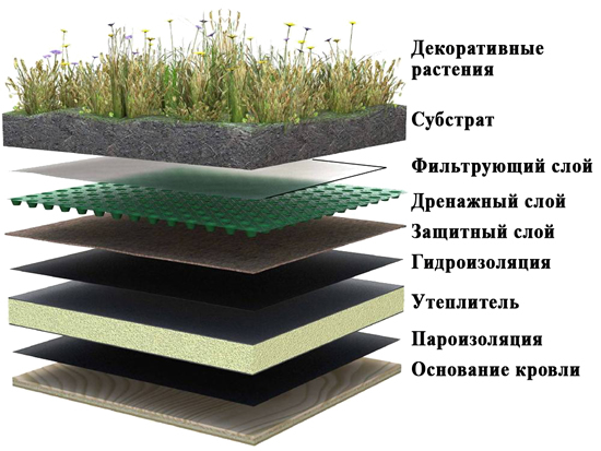 Слои зеленой крыши
